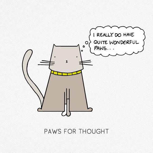 PAWS FOR THOUGHT