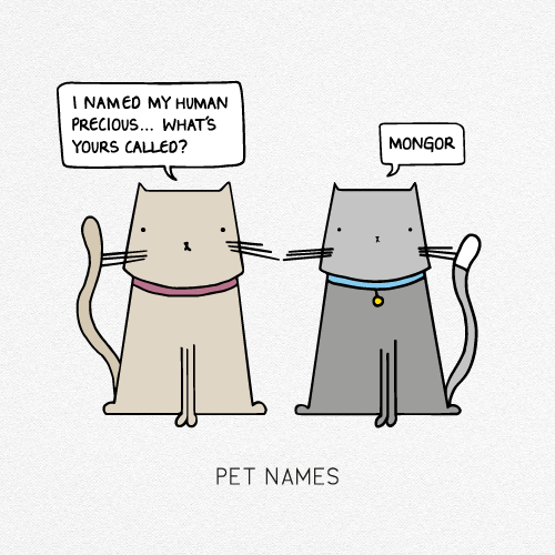 PET NAMES