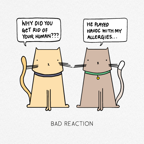 BAD REACTION